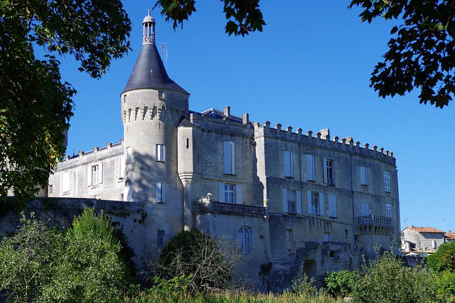 Dératisation à Jonzac 17500 - Dératiseur rats, souris mulots, loirs fouines martres serpents