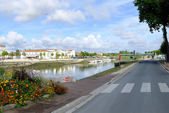 Désinsectisation à Saujon 17600 - lutte anti frelons, guepes, chenilles, cafards, puces